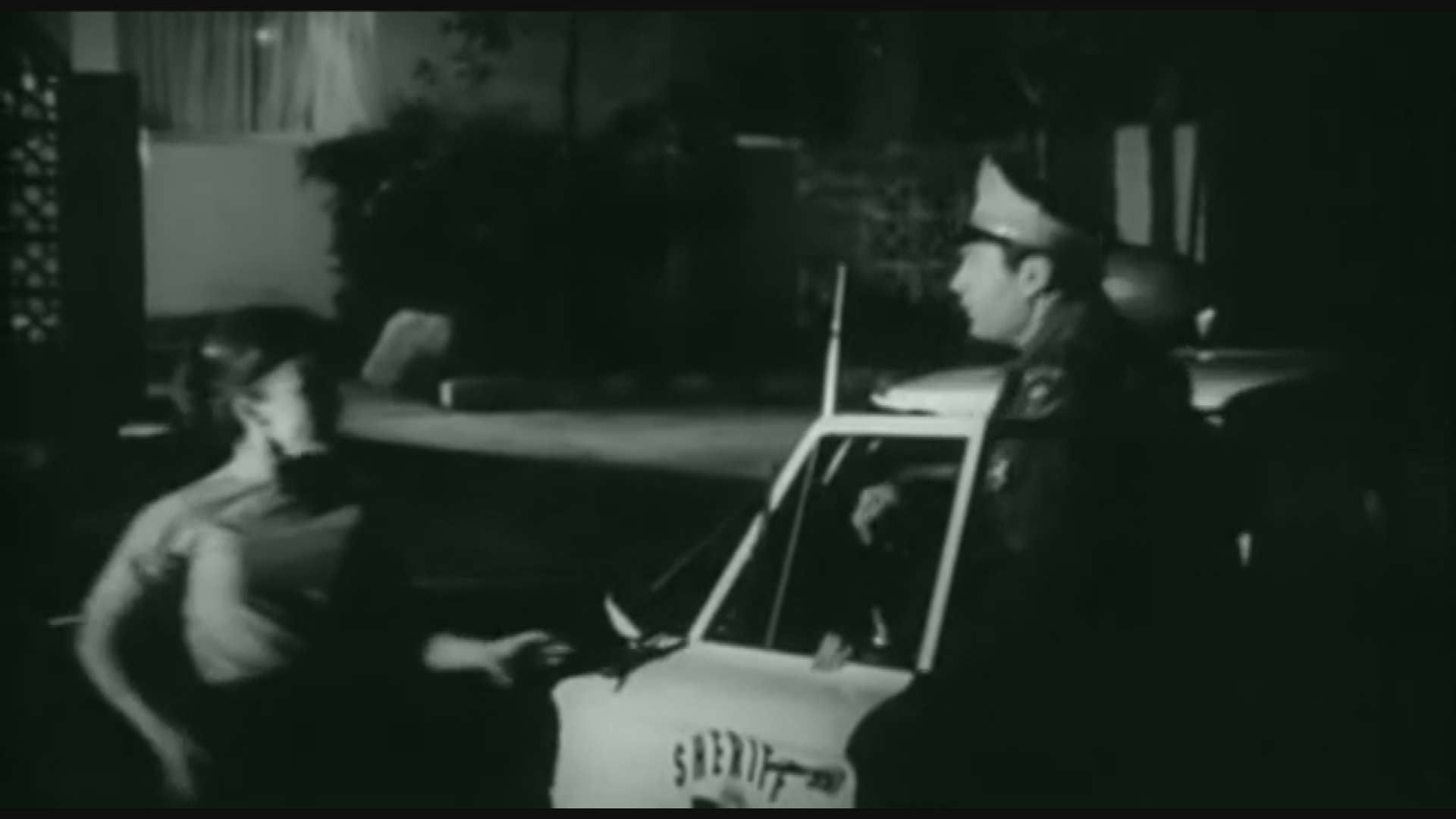 The Beach Girls and The Monster