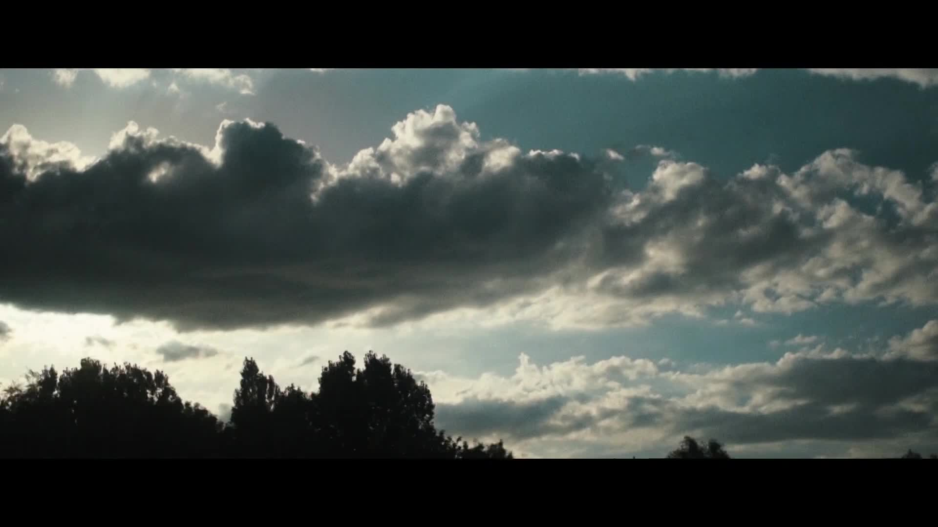 What Does It Mean To Be Human