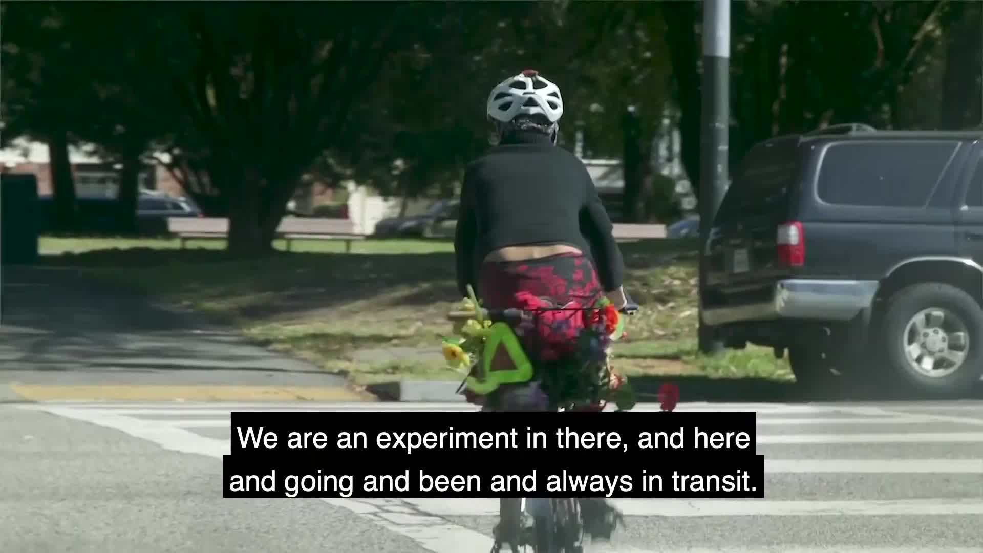 The Promise of the Bay