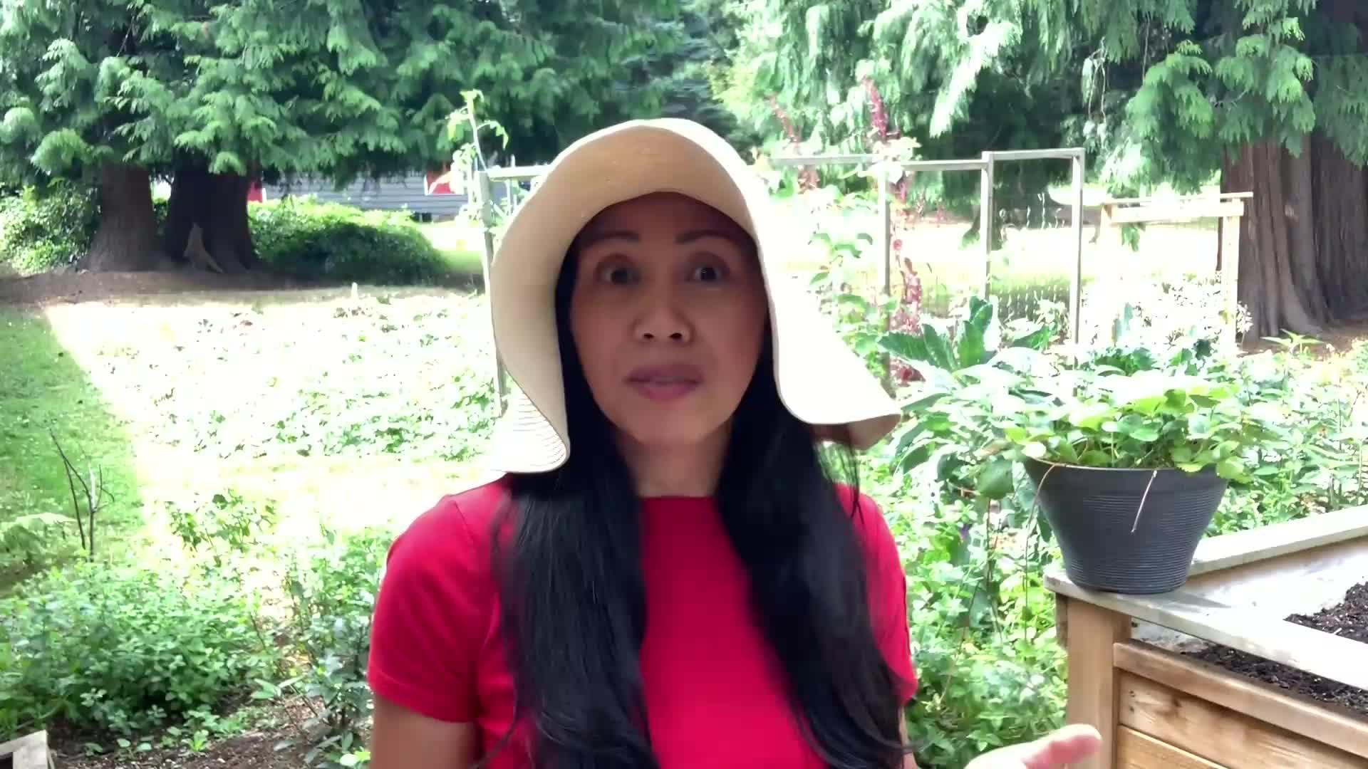  Learn To Grow - 23 Crops To Plant in August & In The Fall