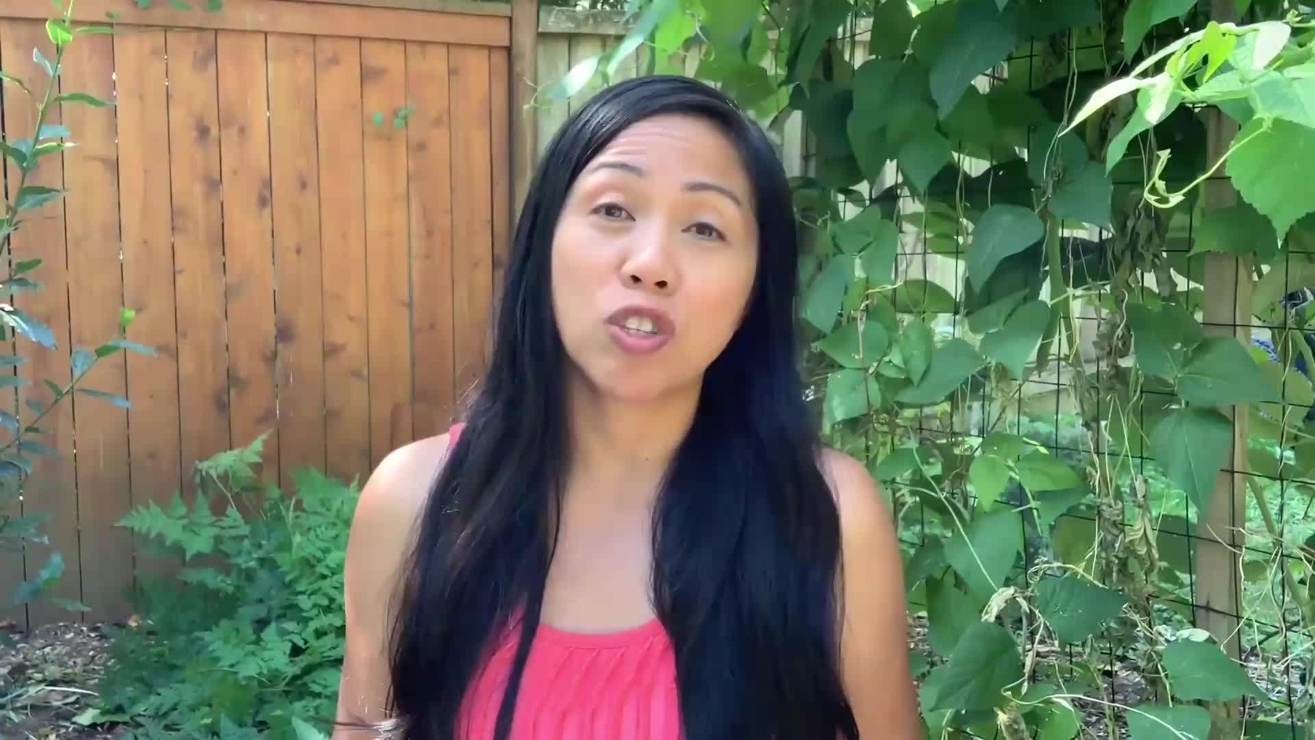  Learn To Grow - 18 Crops You Can Plant In September   Gardening for Beginners