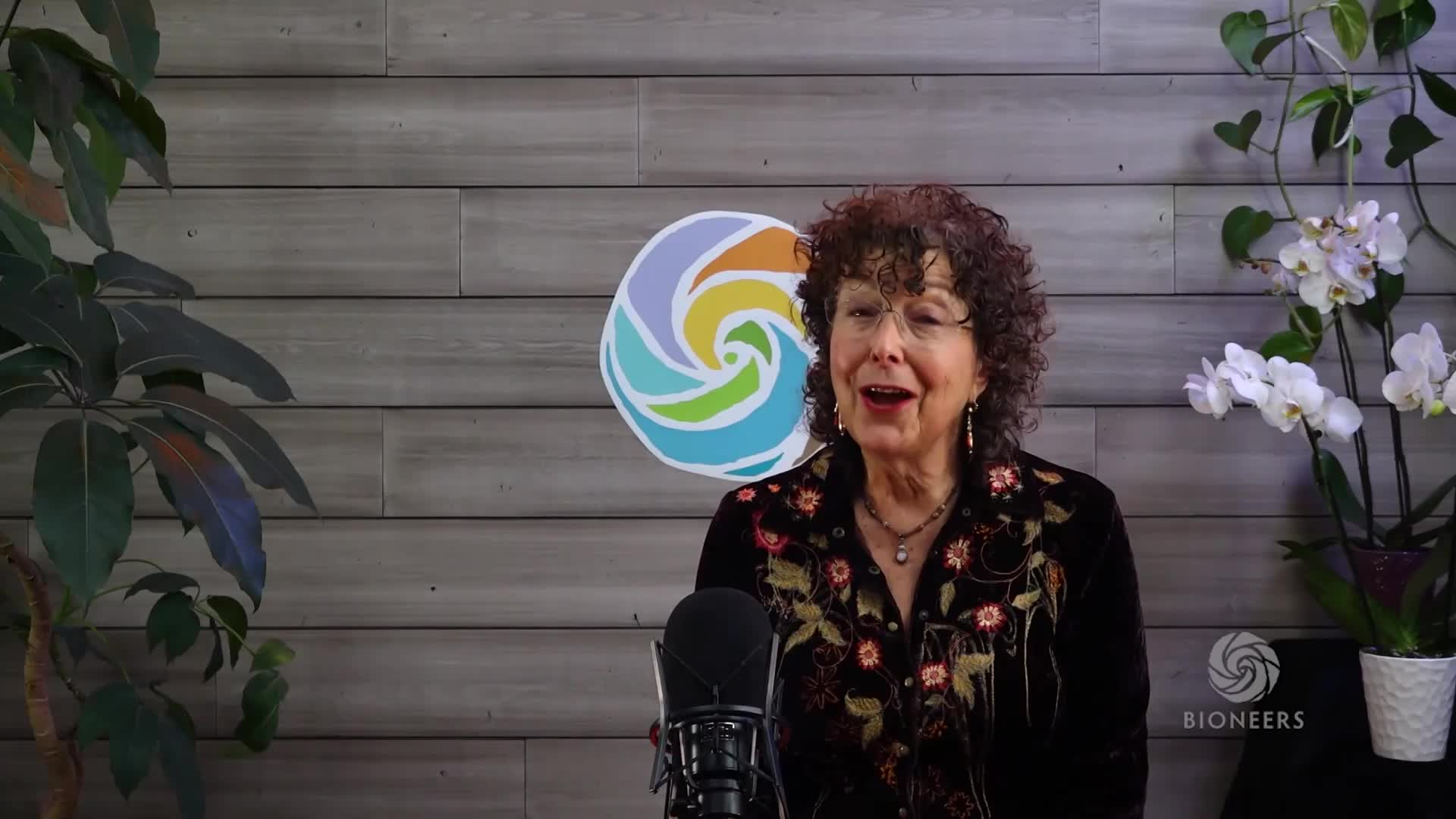 Bioneers: Ayana Elizabeth Johnson – The Feminist Climate Renaissance