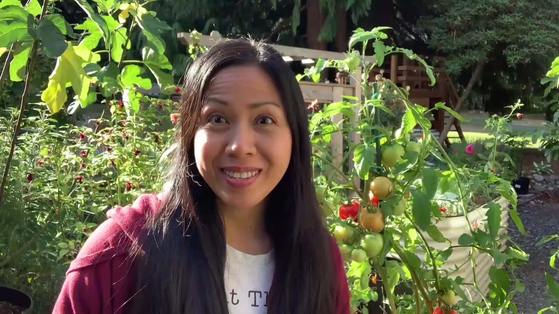  Learn To Grow - 12 Crops to Plant NOW for Fall & Winter Harvest - Plus Bonus Crop!