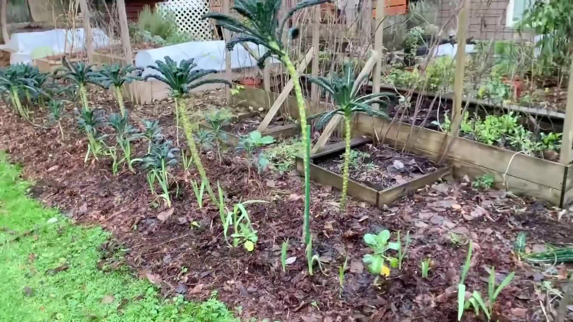 Learn to Grow - Winter Garden Tour 2021