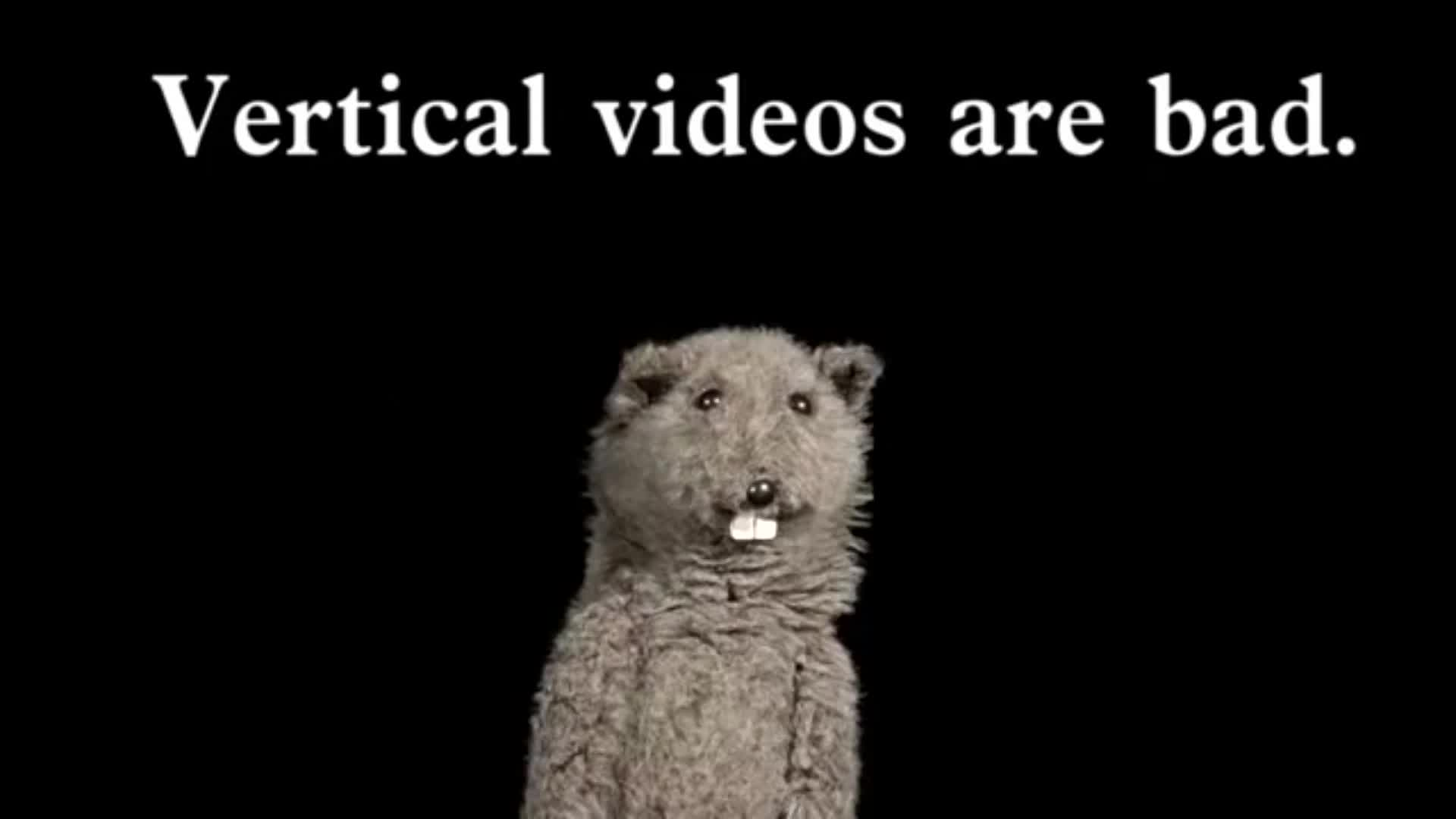 Vertical Video Syndrome
