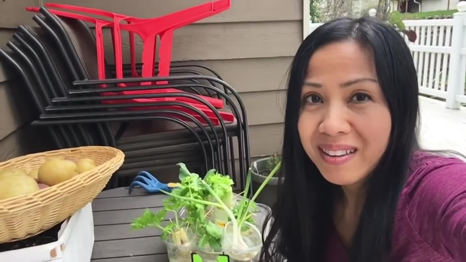 Learn To Grow -  Growing Vegetable