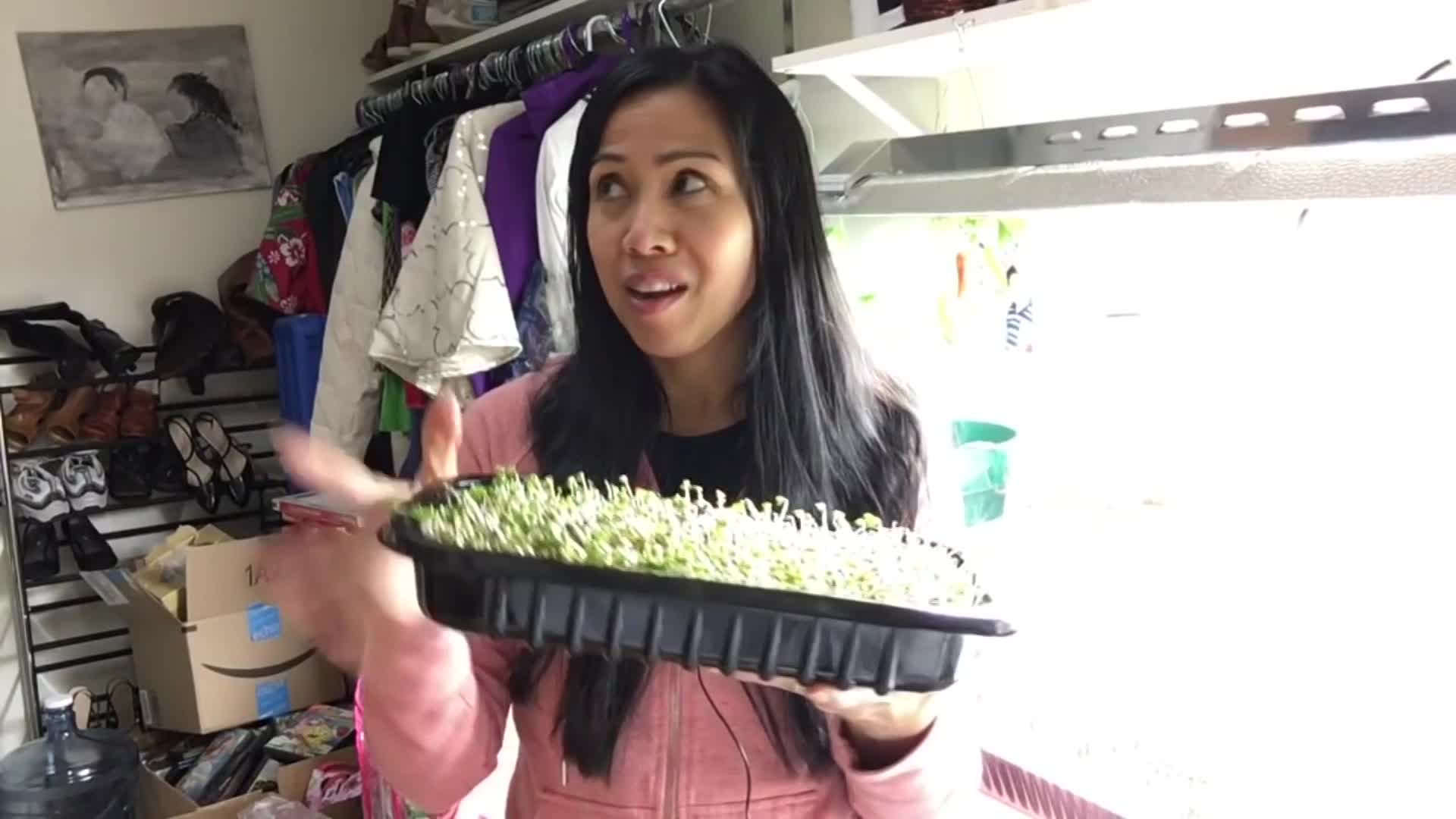 Learn To Grow -  Growing Microgreens Update