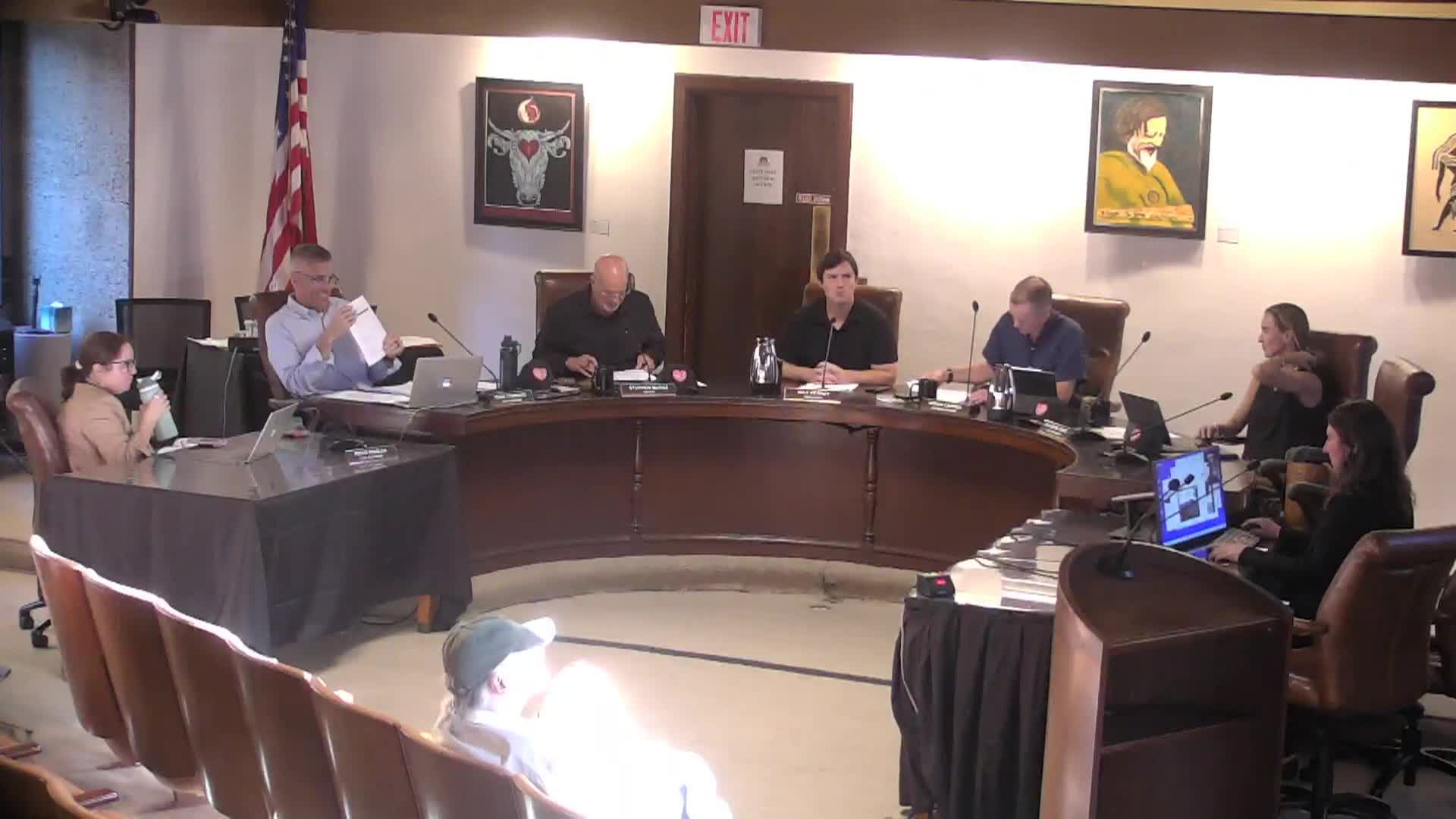 Mill Valley City Council - 10-20-25