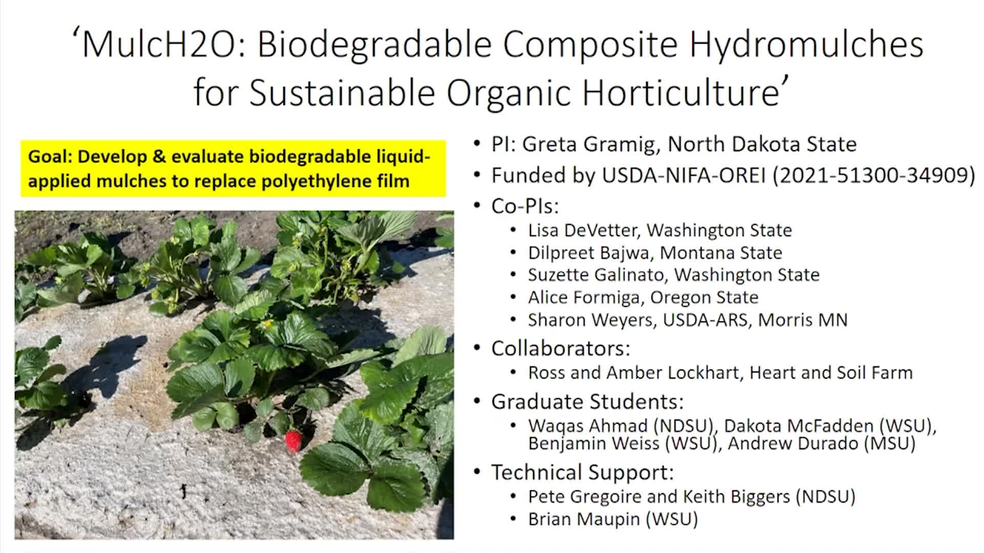 NDSU Extension - 2023 Spring Fever Garden Forums  Sprayable Biodegradable Mulches.