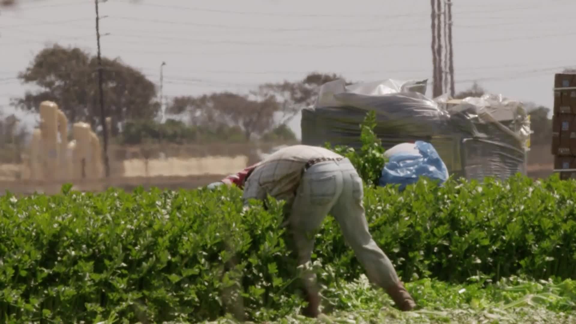 Supporting California’s Farmworkers