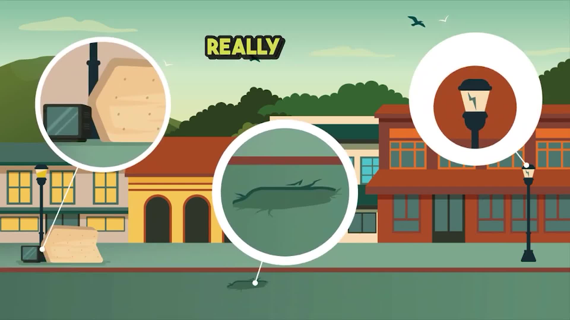 How to Use the FixItMarin App