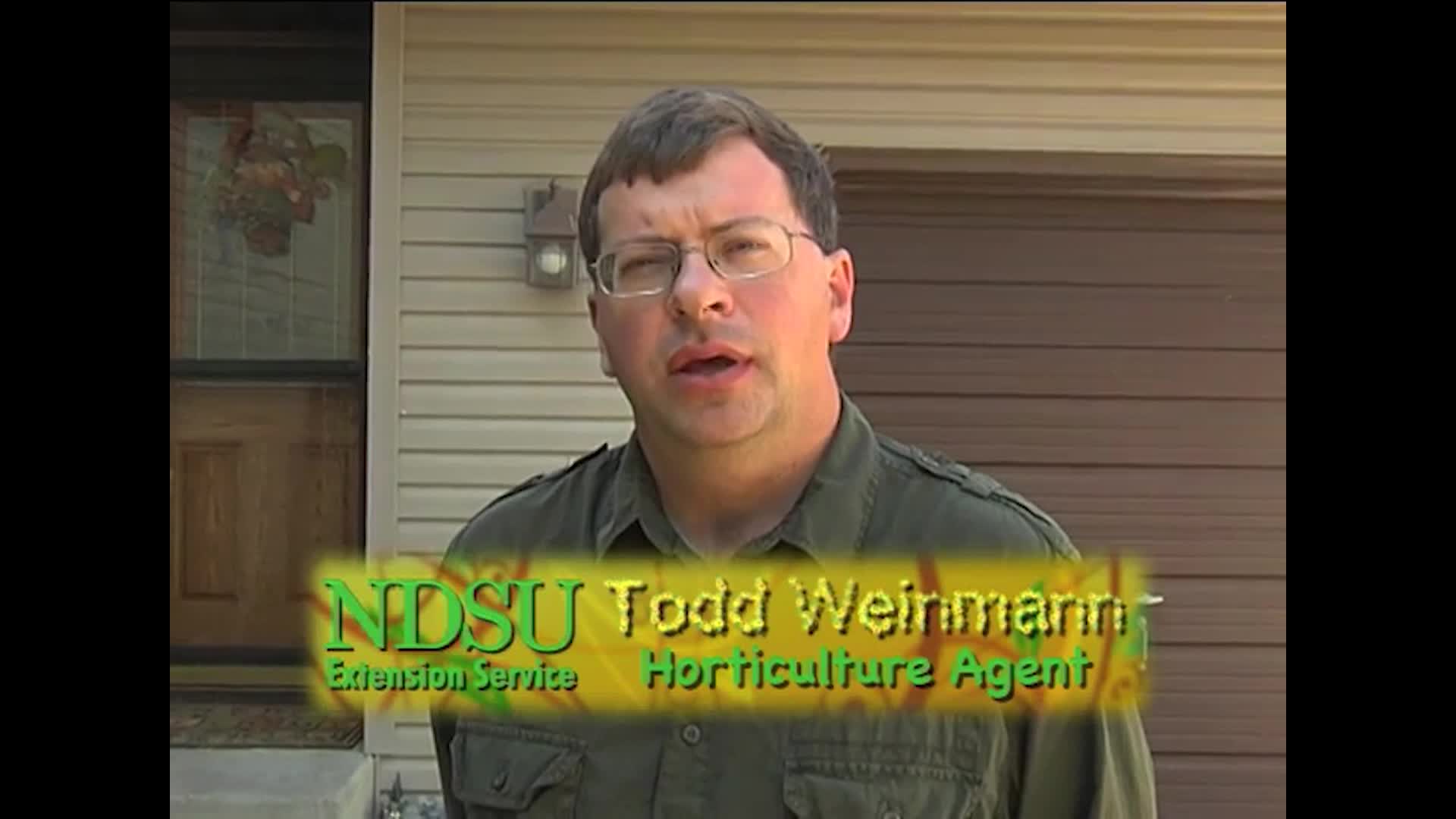 NDSU Extension - NDSU - Horticulture for the Home - Cabbage Harvest